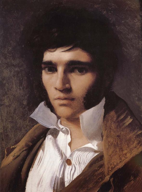Jean-Auguste Dominique Ingres Portrait of Paul France oil painting art